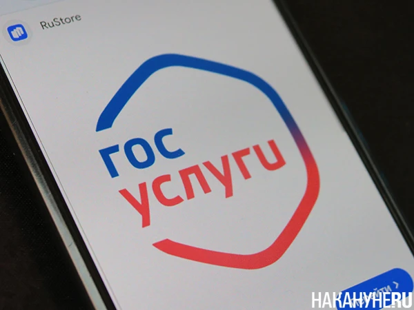 В России раскрыта схема мошенничества с "обновлением Госуслуг"