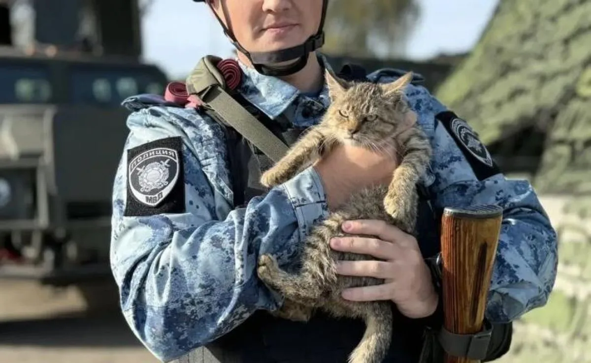 Котёнок Тигр охраняет пост вместе с полицейскими в Курском районе