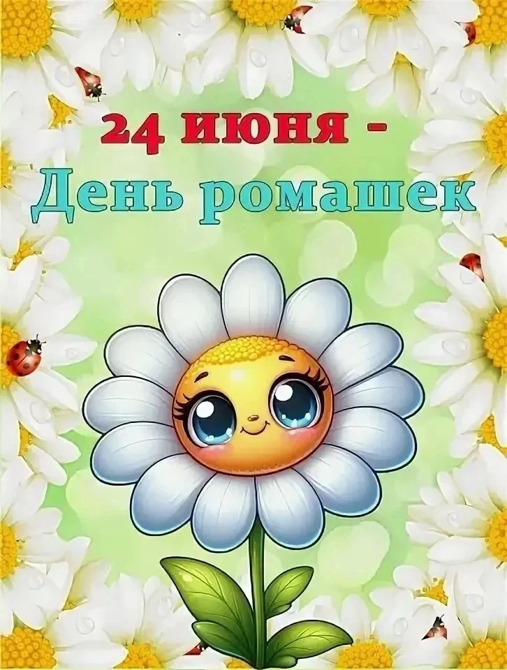 ✨🌸2⃣4⃣ июня отмечается тёплый и светлый праздник — День ромашки🌸

В народе 🌸этот цветок🌸 называю