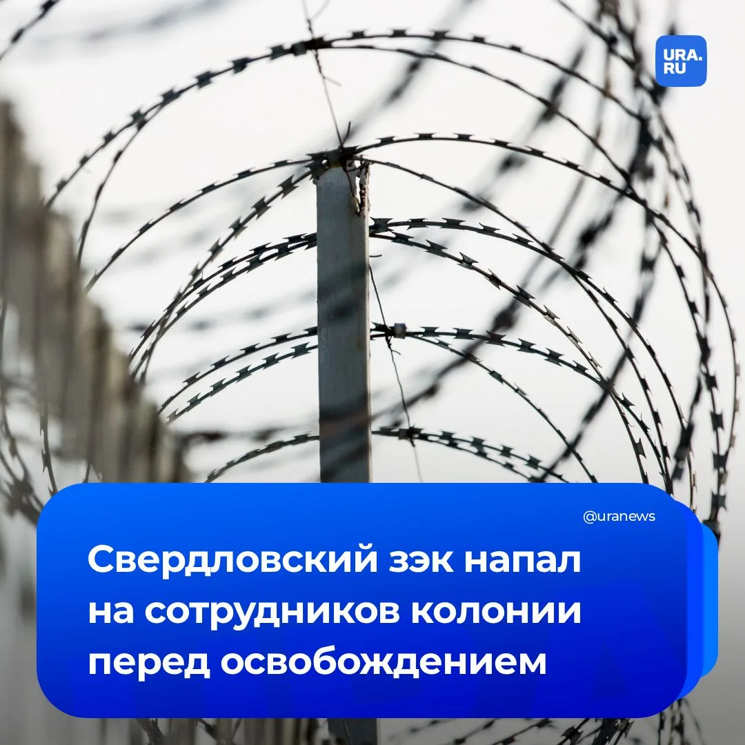 Осужденный напал на сотрудников колонии в свердловской Тавде