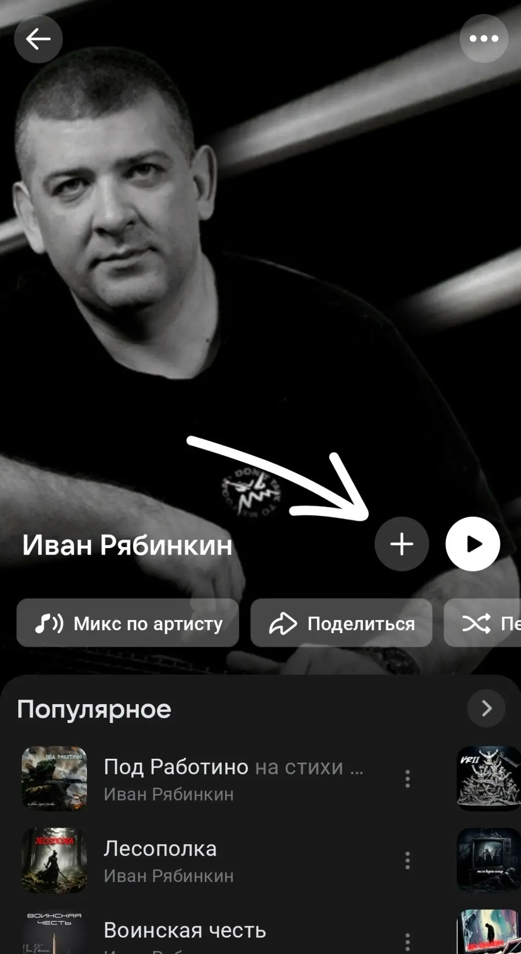 Друзья, привет! Вы уже подписались на мою страницу в VK Музыке? Это очень просто: переходите по ссыл