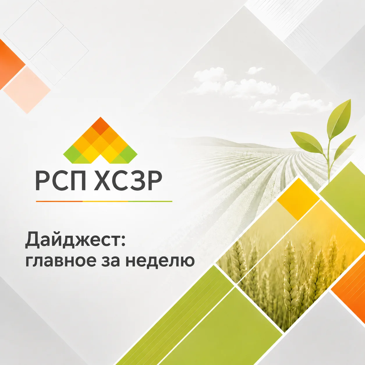 ➖ Михаил Данилов назвал ключевые проблемы российского сельского хозяйства.