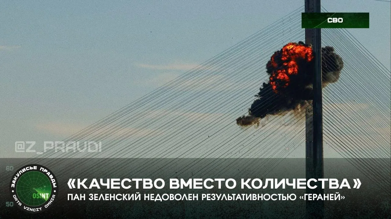 «Качество вместо количества» — пан Зеленский недоволен результативностью «Гераней»