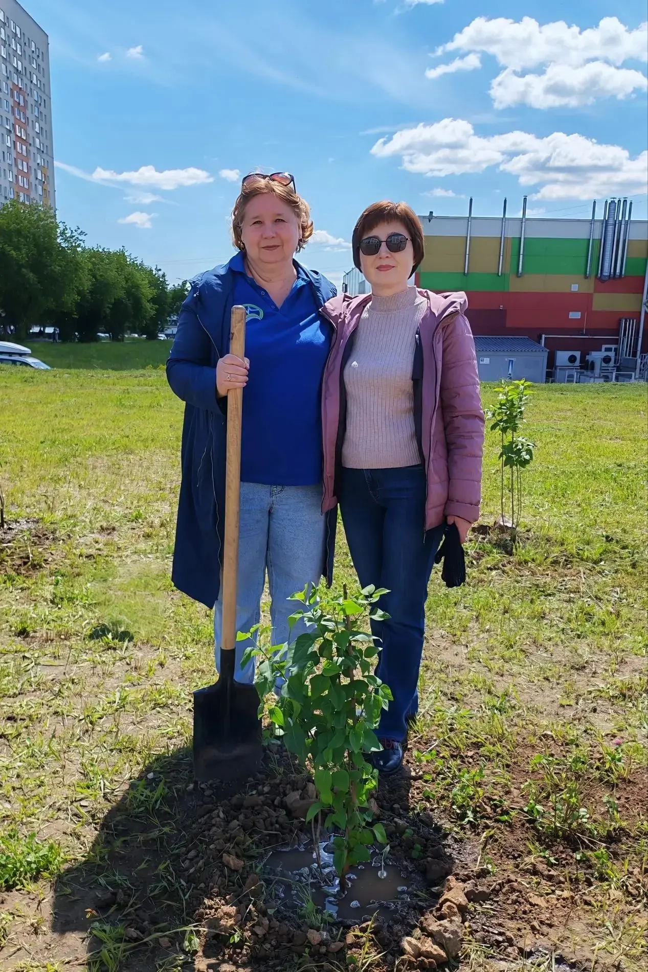 В среду, 03.06.2026, в районе школы № 131 прошла памятная акция: высажена сиреневая алл...