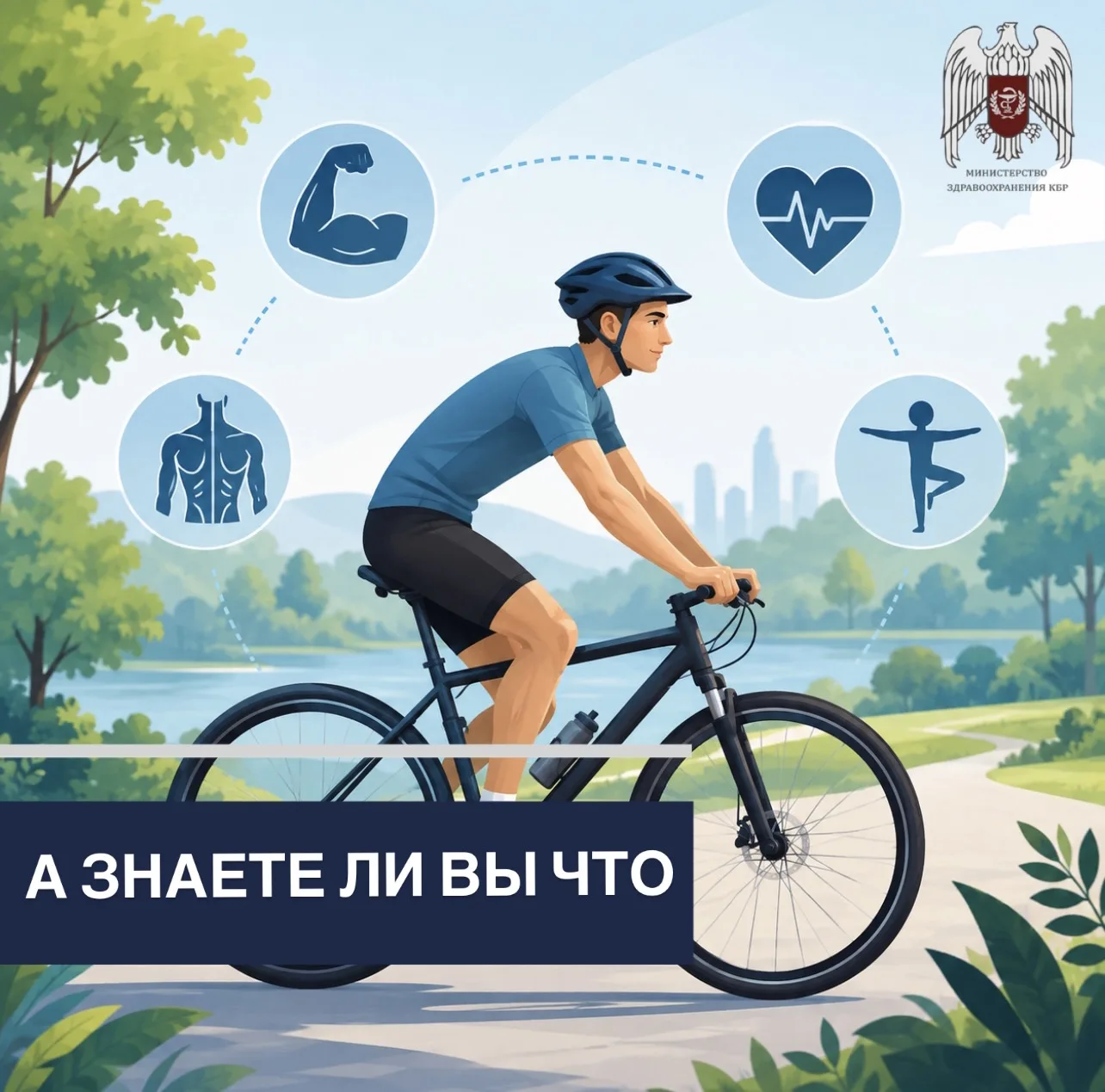 🚴 велосипед помогает укреплять не только мышцы ног?