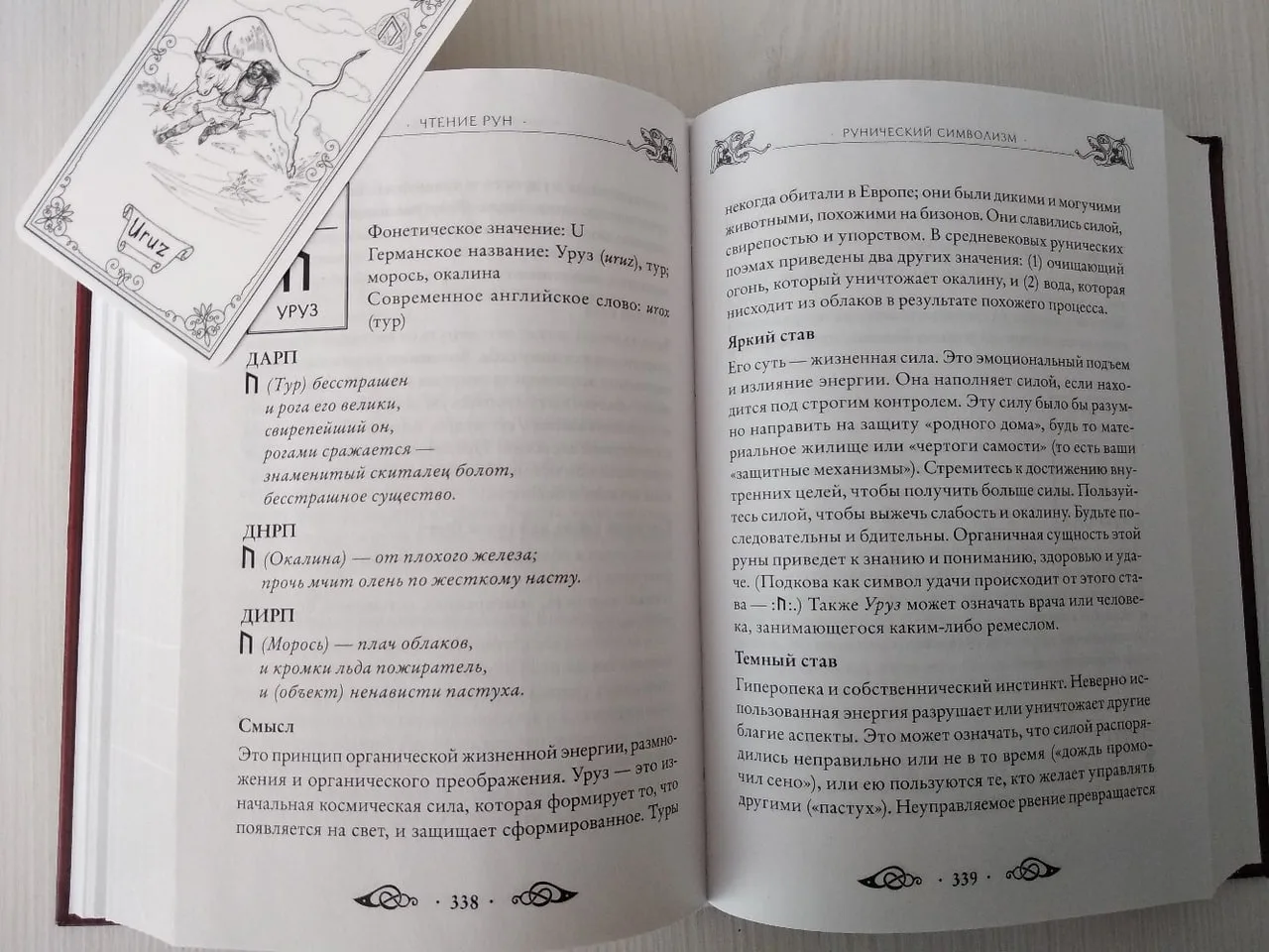 Обзор книги Эдреда Торссона «Большая книга рун и рунической магии»  Сразу нужно сказать, что Эдред Т