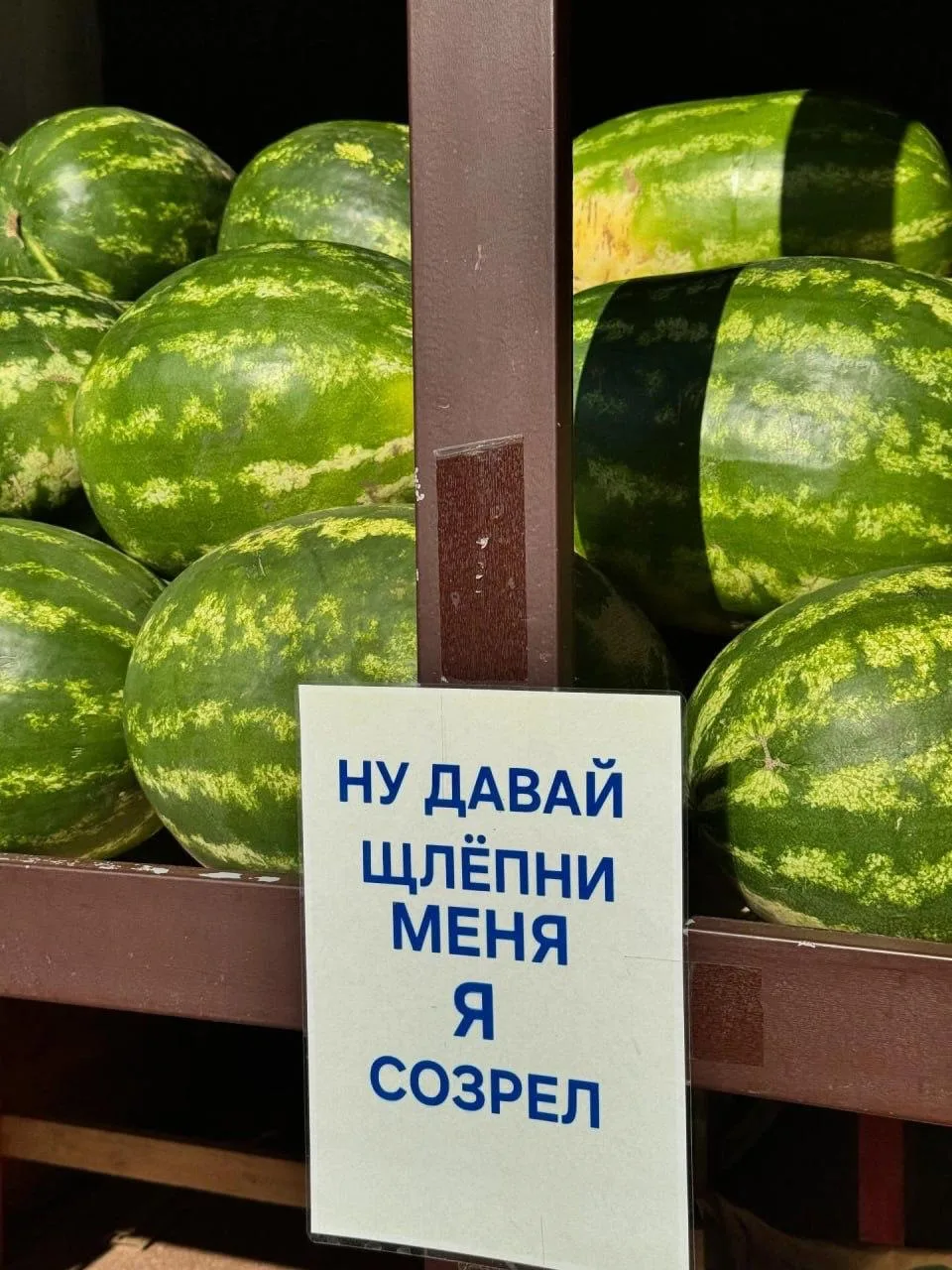 Изображение 1 к публикации «Сейчас в тренде»