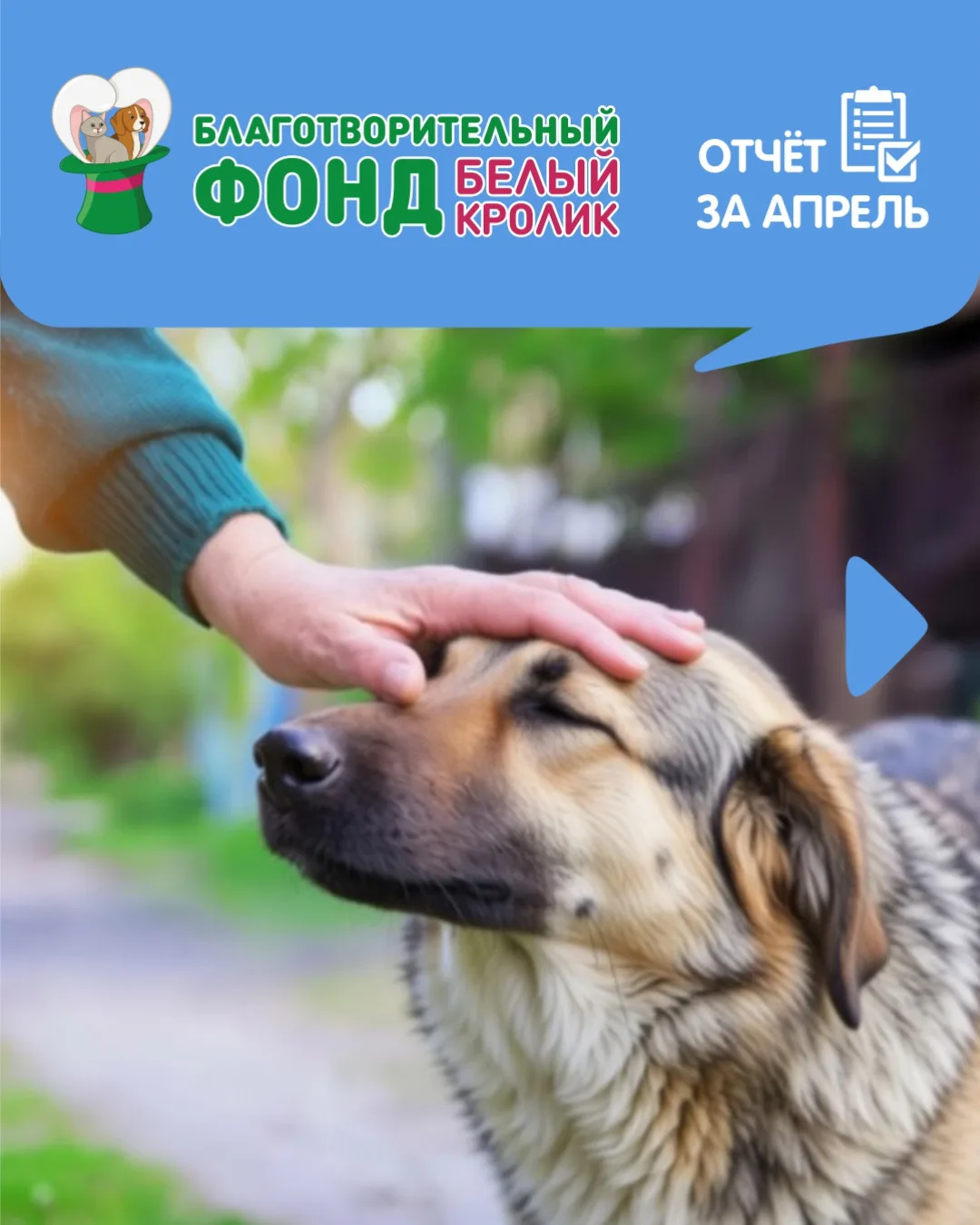 Результаты благотворительной деятельности за апрель 🐰