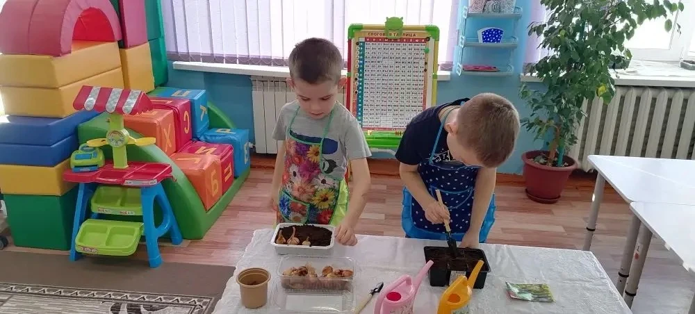 Дети старшей группы принимают участие в конкурсе «Огород на окне».