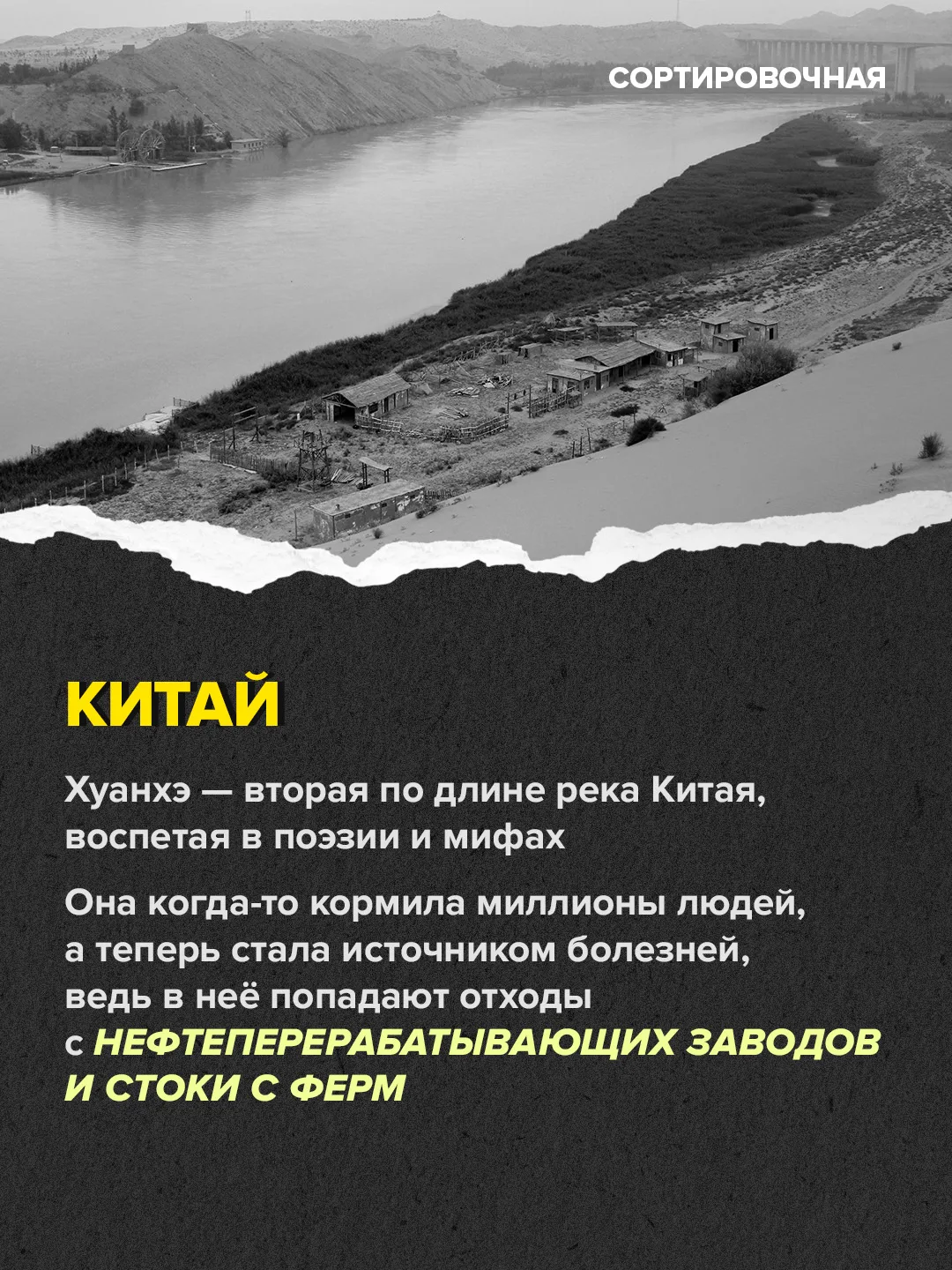 🙏 Сегодня отмечаем Всемирный день здоровья   В 2026 году памятная дата проходит под девизом «Вместе 