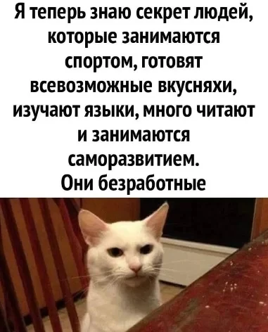 Секрет людей

Комментарии: pikabu.ru/link/PSamEUH06_