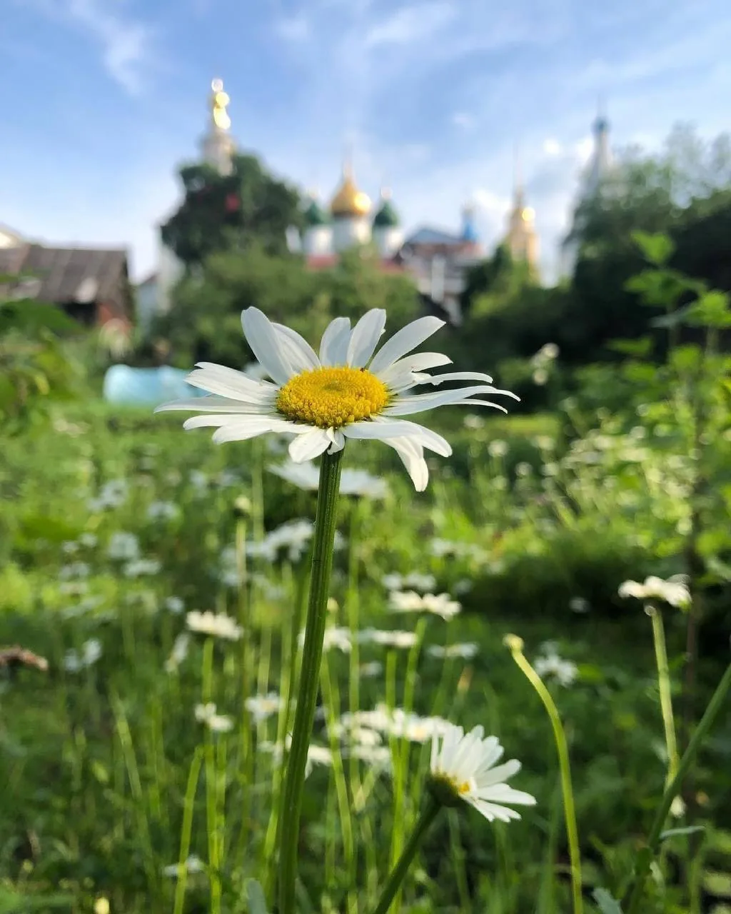 Весеннее настроение в Коломне (Московская область)  ✈ Подписывайтесь на Дневник путешественника МАХ 