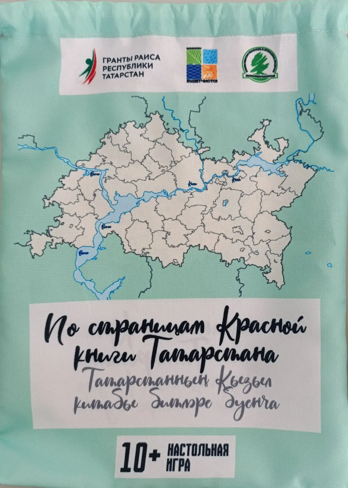 Экология через игру: как настольная «Красная книга» помогает социализации воспитанников Раифского СУ