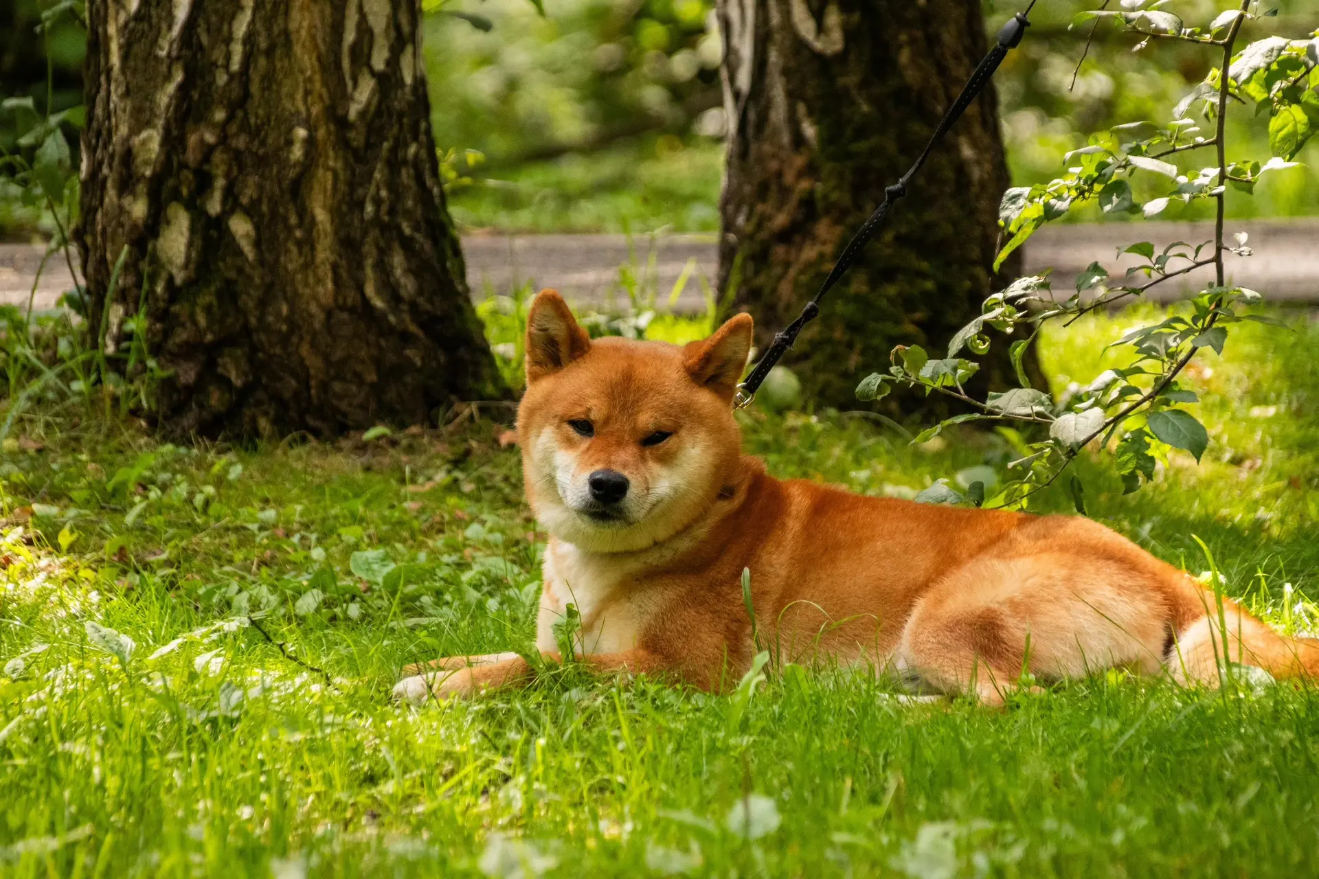 Доброе утро! 🌼

Новая неделя - это чистый лист, на котором обязательно найдётся место для ярких мом