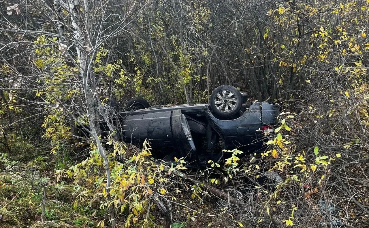 🚗 В Варгашинском округе перевернулся ВАЗ: погиб пассажир