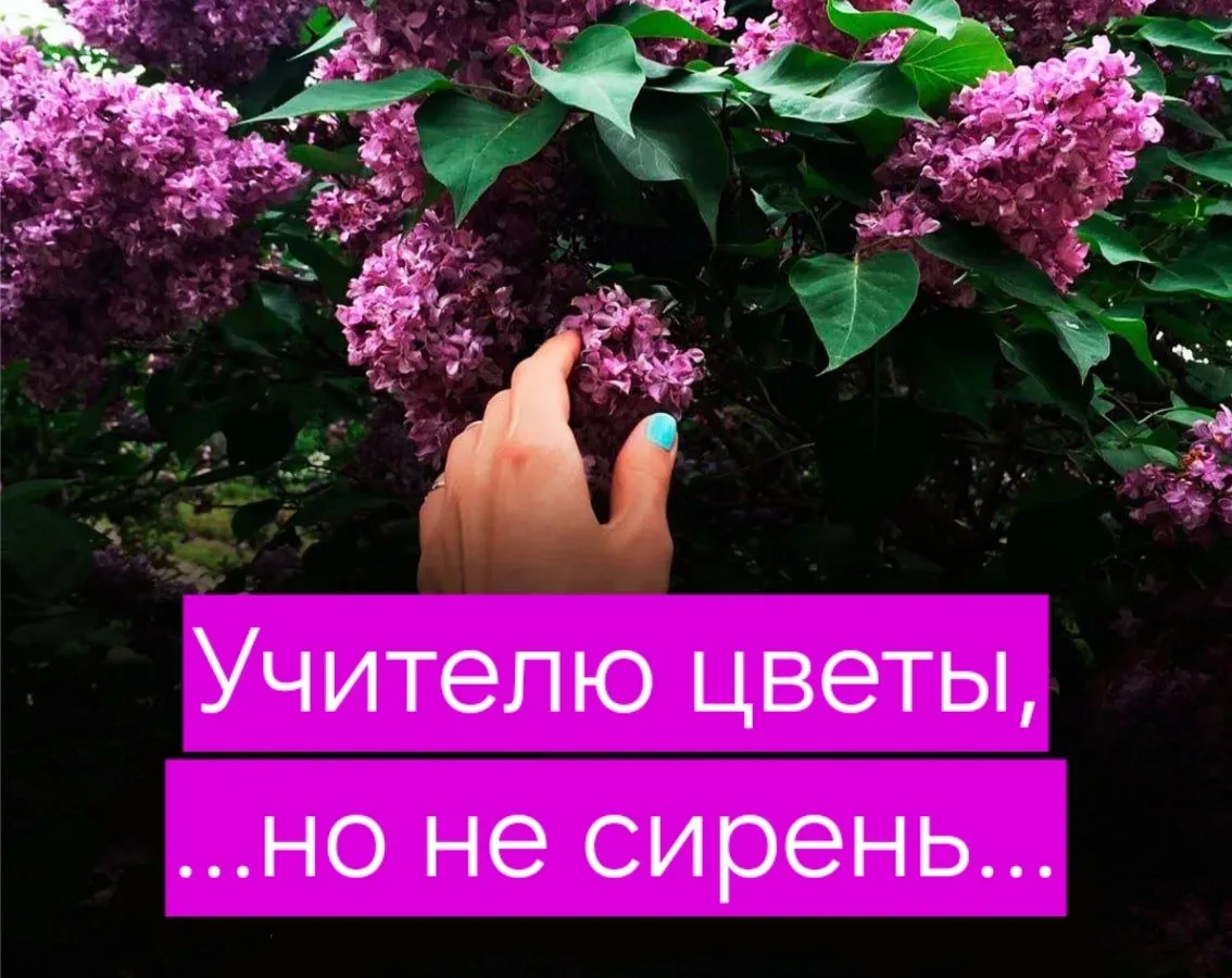 🌸 Сирень учителю: подарок или штраф?

Скоро дворы зацветут, и многие захотят собрать бесплатный бук