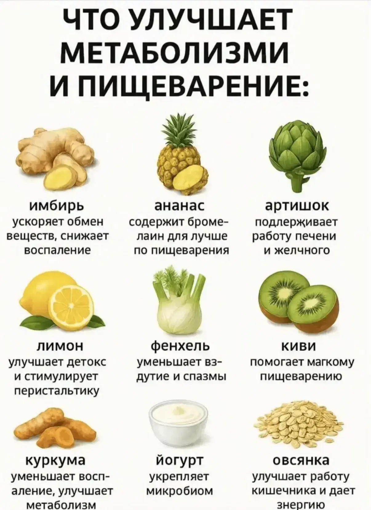 🥗 Продукты для идеального метаболизма и пищеварения.

​Каждый из этих продуктов работает как «топли