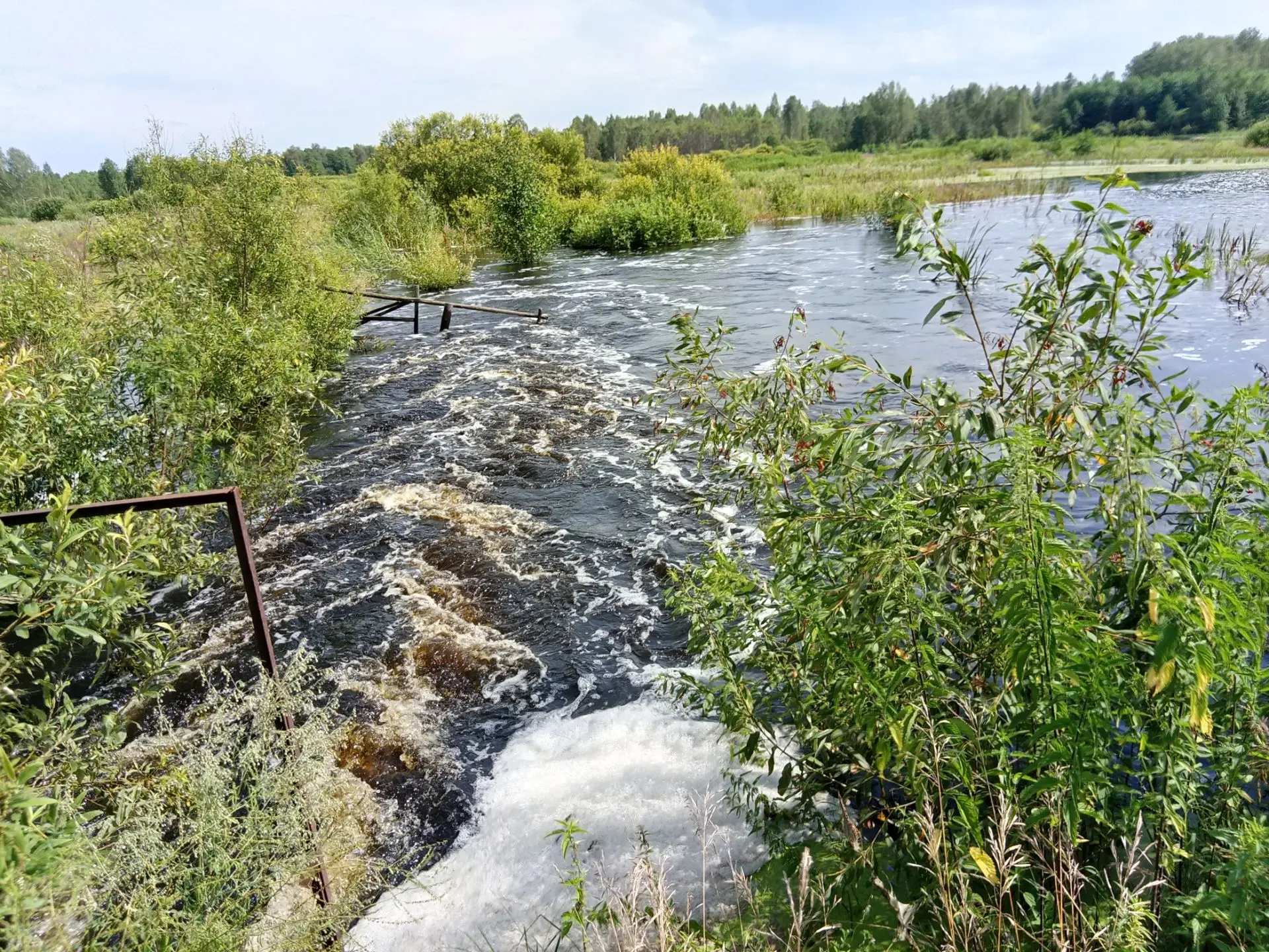 Тюменский муниципальный округ подтапливает... За 2 суток вода в Пышме прибыла на 50 см....