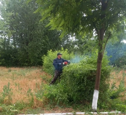 🌿Специалистами МКУ «Чистый город» в самом разгаре сезонные работы по наведению порядка. В парках и 