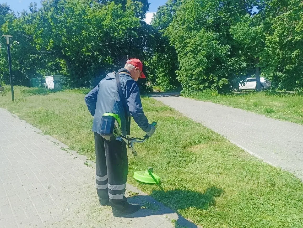🌿 Начало недели в парке — время наводить порядок!

Насыщенные выходные позади — День защиты детей, 