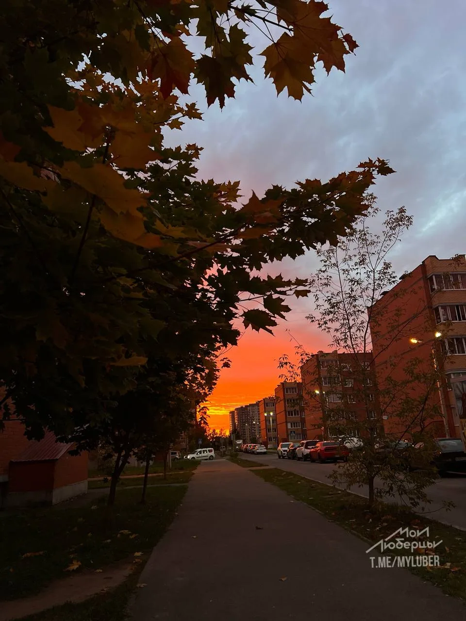 Осень в Люберцах.