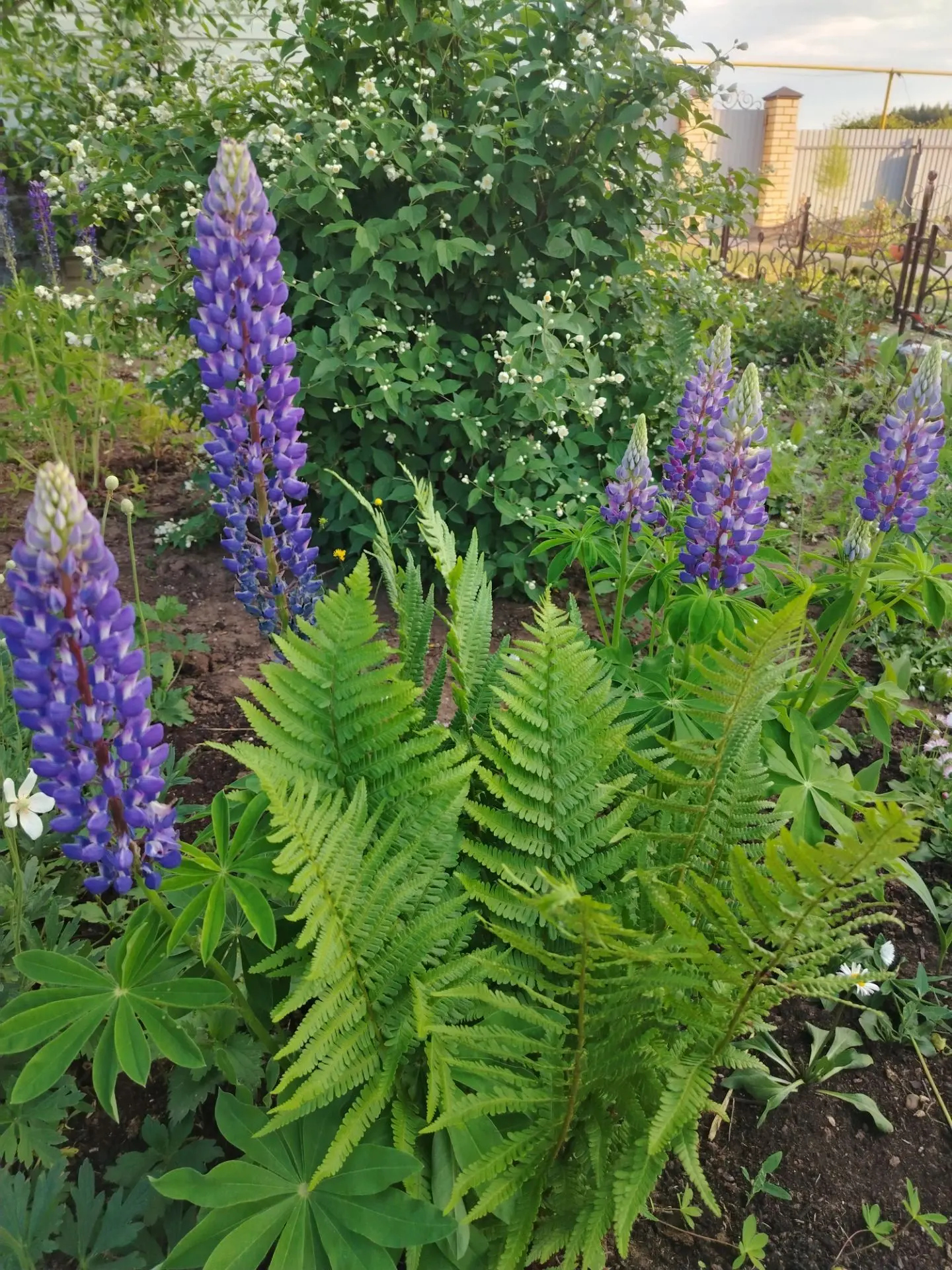 🌿 Дүшәмбе иртәсе мөбәрәк булсын! 🤲