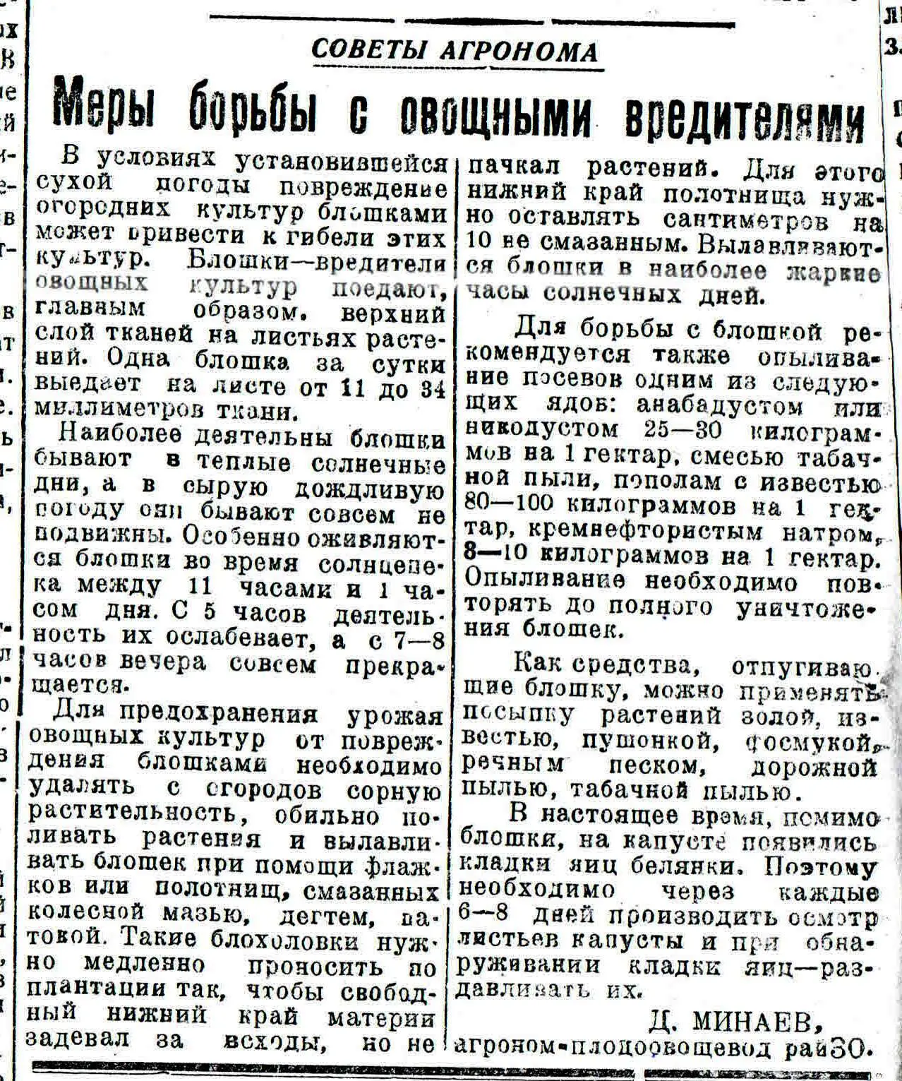 #ЛистаяЗнамёнку Статья агронома райзо Д.Минаева "Меры борьбы с овощными вредителями" из газеты "Колх