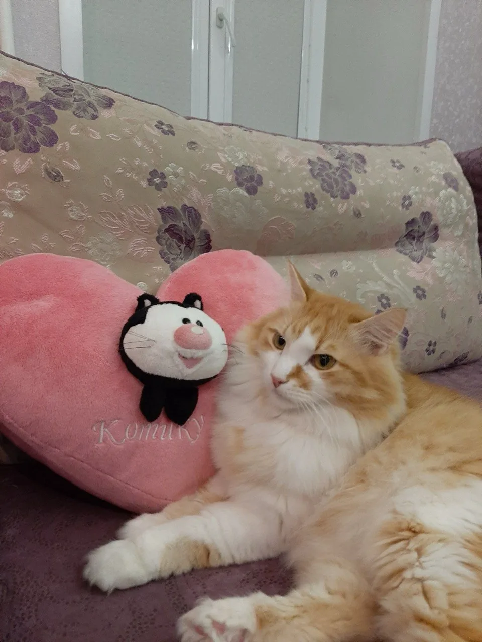 ДАРИМ ПОДАРОК ЗА ФОТО ВАШЕГО ЧЕТВЕРОНОГОГО ДРУГА! 🎁 🐾