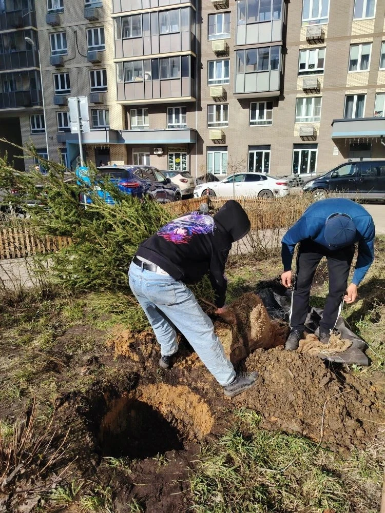 🌿 Накануне на дворовой территории дома Камова, 5 корпус 2 проведены работы по благоустройству  По ин