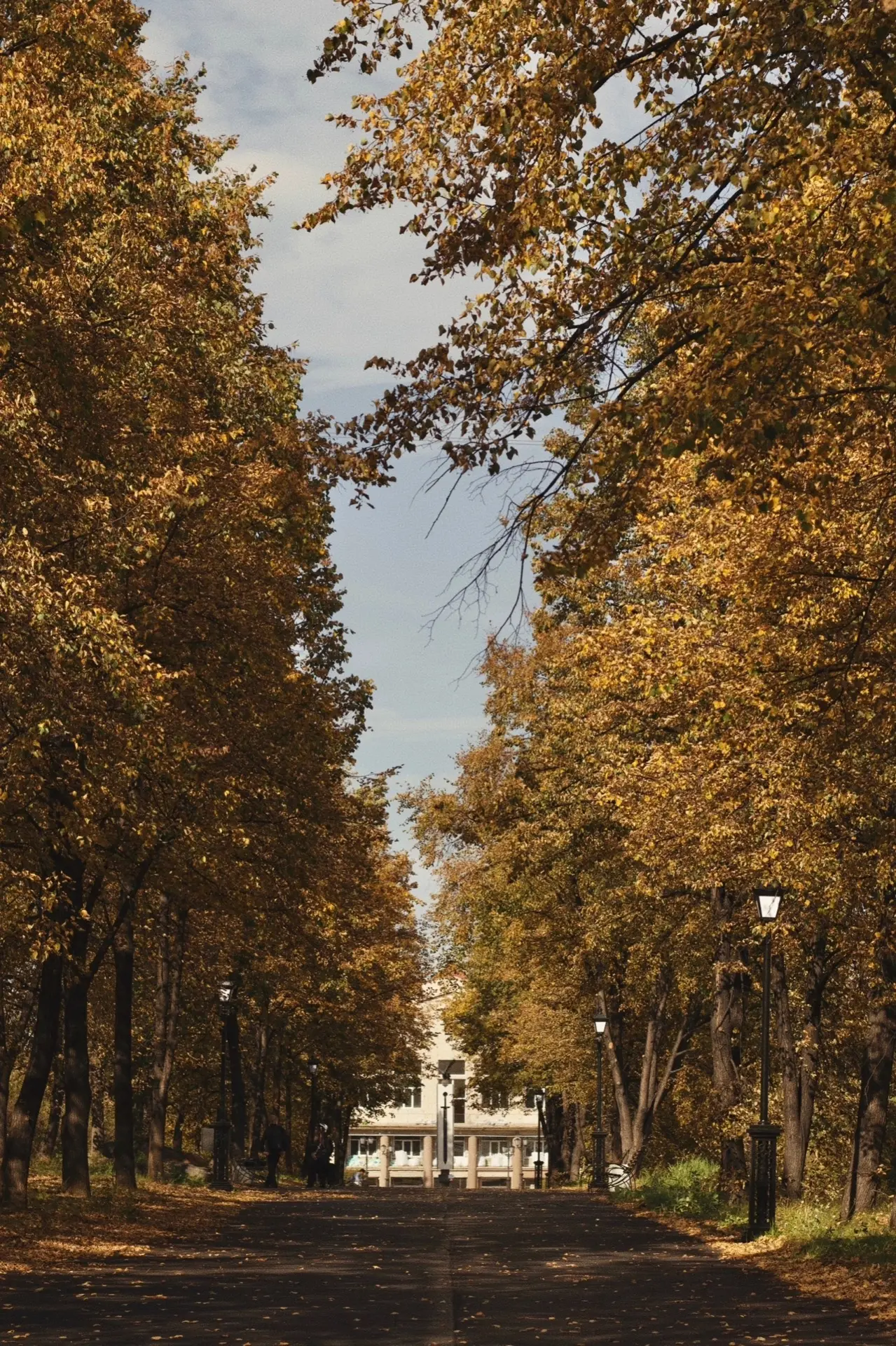 Золотая осень в Снежинске 🍂