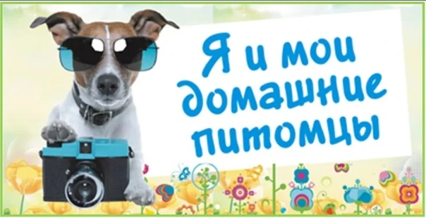 🎉 Фотовыставка «В объективе: Я и мой домашний питомец»! 🎉

Дорогие родители и ребята! Приглашаем в
