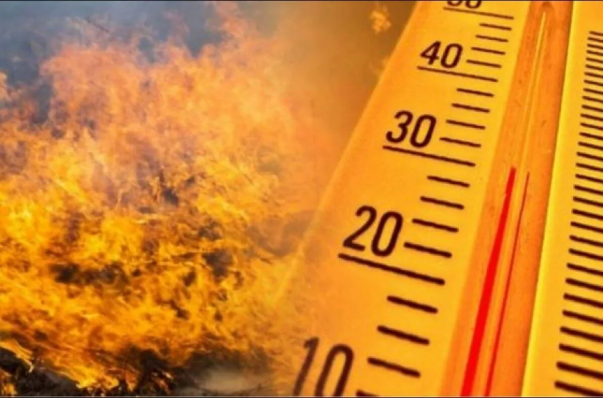 📌Пожарная безопасность в жару

🌞🔥Лето, жара и палящее солнце - это не только пора отпусков, но и 