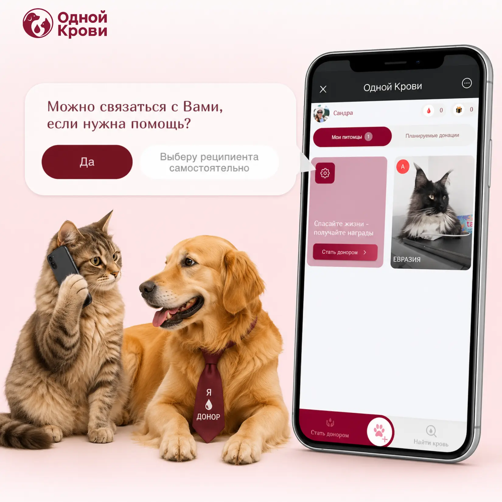 Помощь быстрее: прямая связь с донором

На Портале «Одной Крови» появилась новая функция — теперь мо