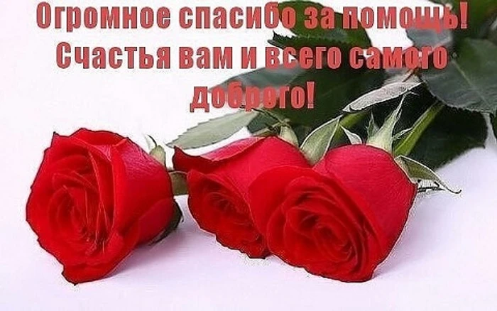 Администрация, педагогический коллектив, воспитанники и родители муниципального дошколь...