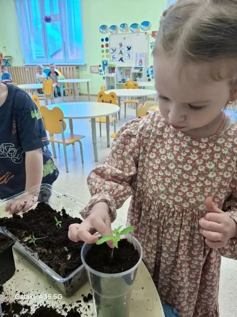 🌱 Помидорные приключения и витаминный день в "Бриллиантиках"! 🌱

Сегодня в нашей группе "Бриллиант