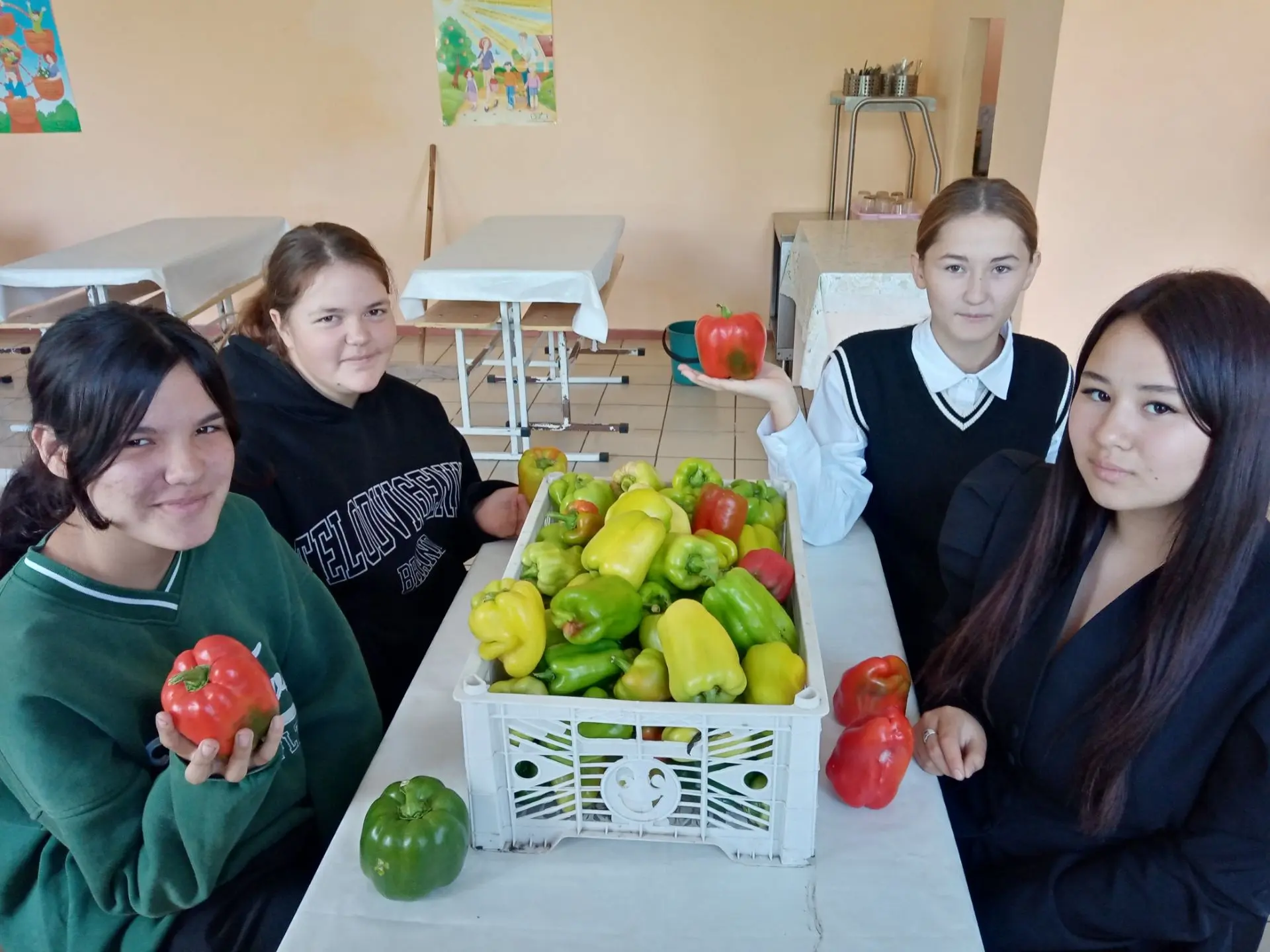 В школе на продажу имеется перец сладкий экологически чистый, выращенный начиная со сбо...