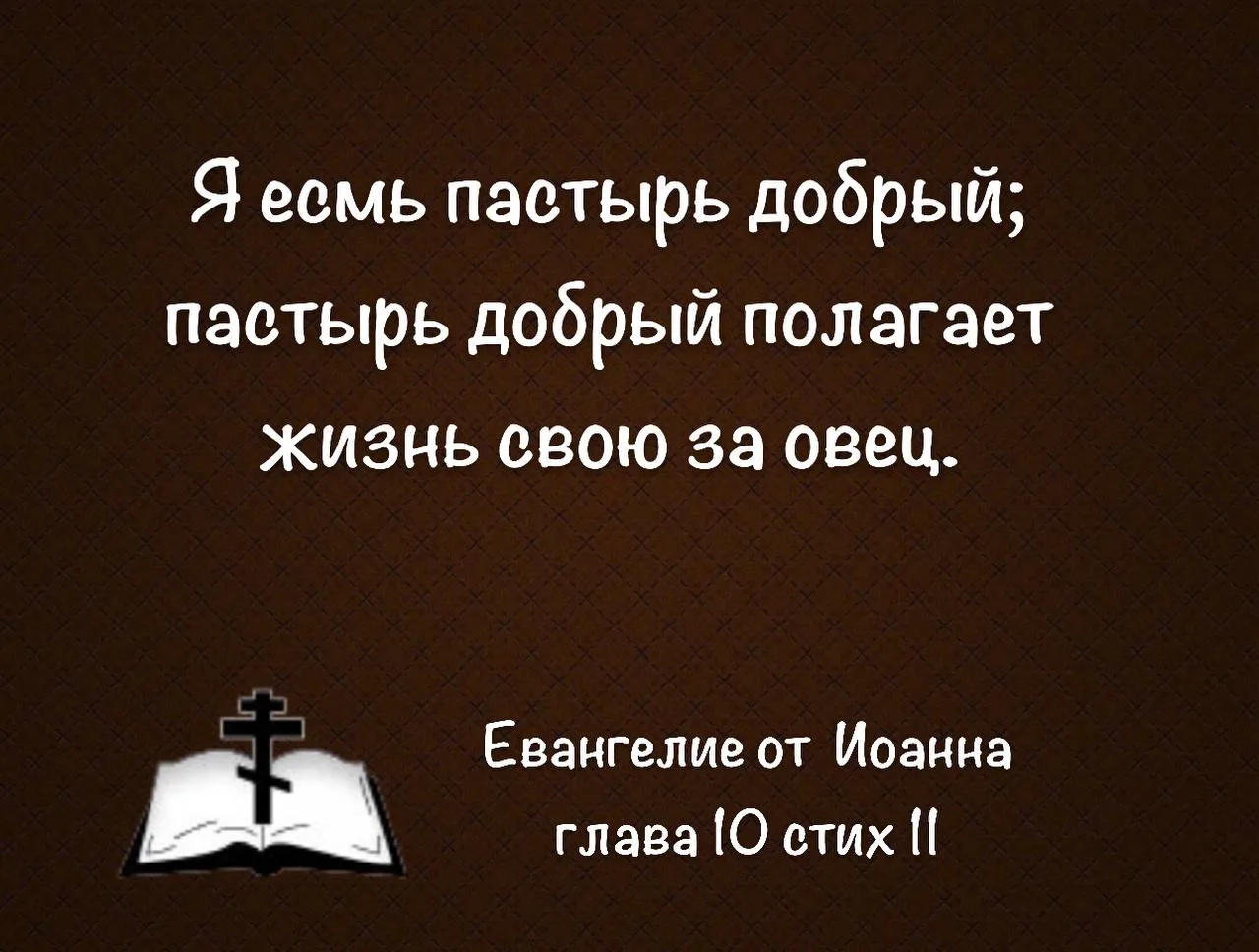 День 3️⃣4️⃣