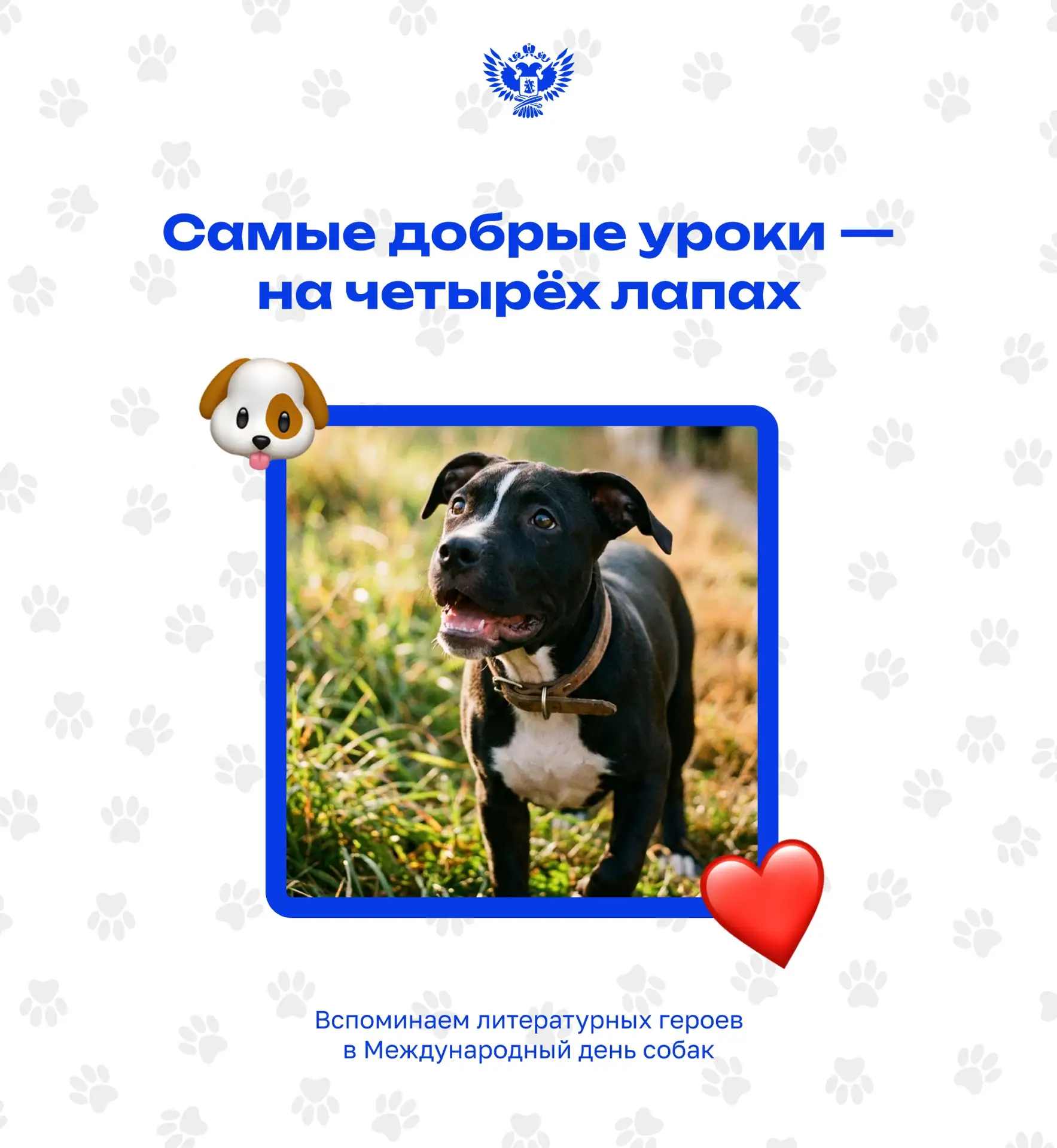 🐕 В Международный день собак вспоминаем не только наших четвероногих друзей, но и самы...