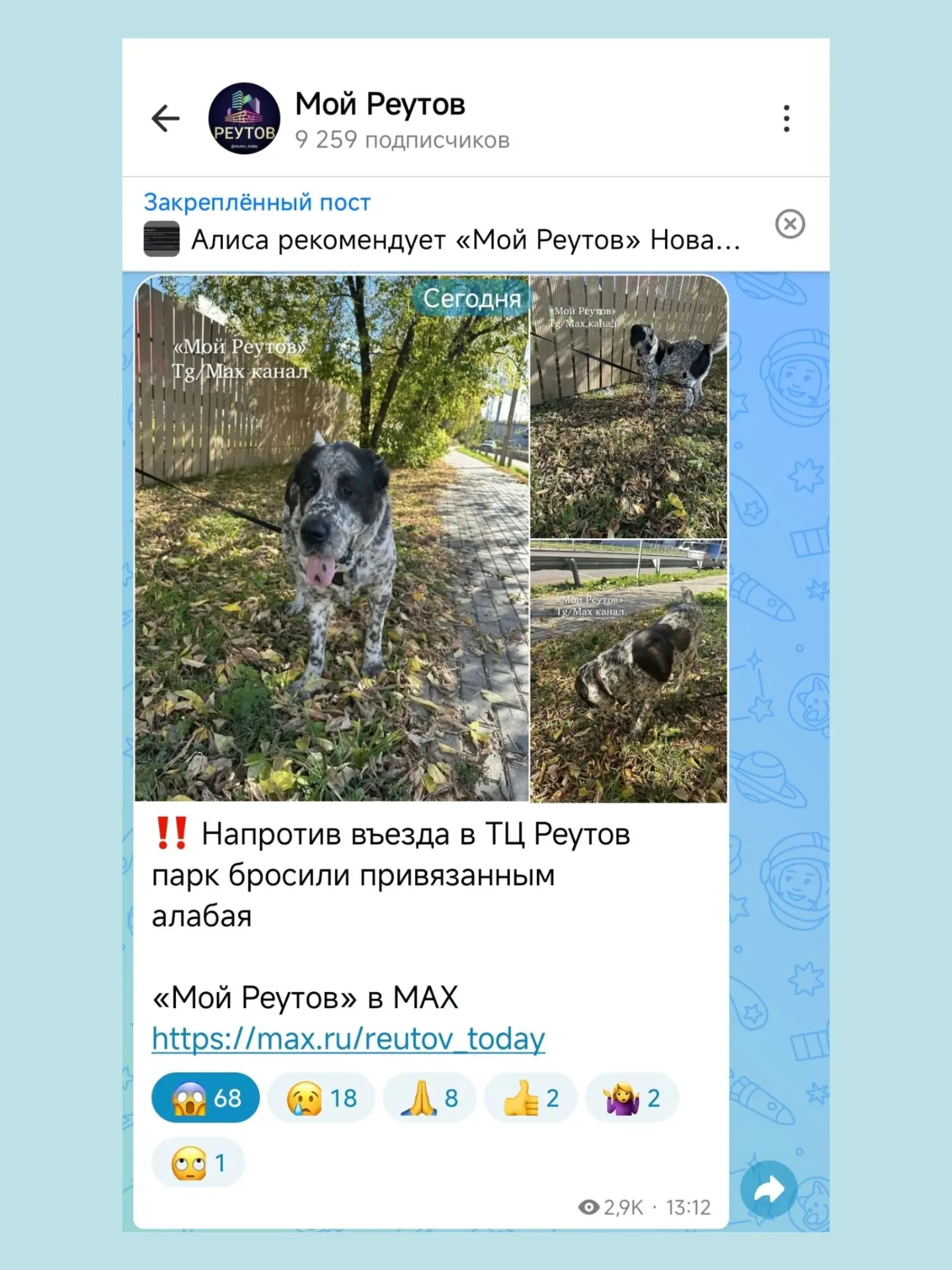Хозяева найдены. Убежал с частной территории. Всем спасибо