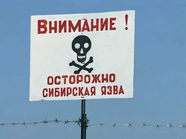 Сибирская язва — особо опасная инфекционная болезнь сельскохозяйственных и диких животныхвсех видов,