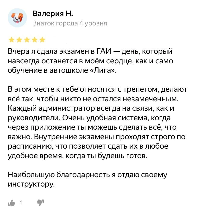 🌟 Что чувствуют ученики после сдачи на права