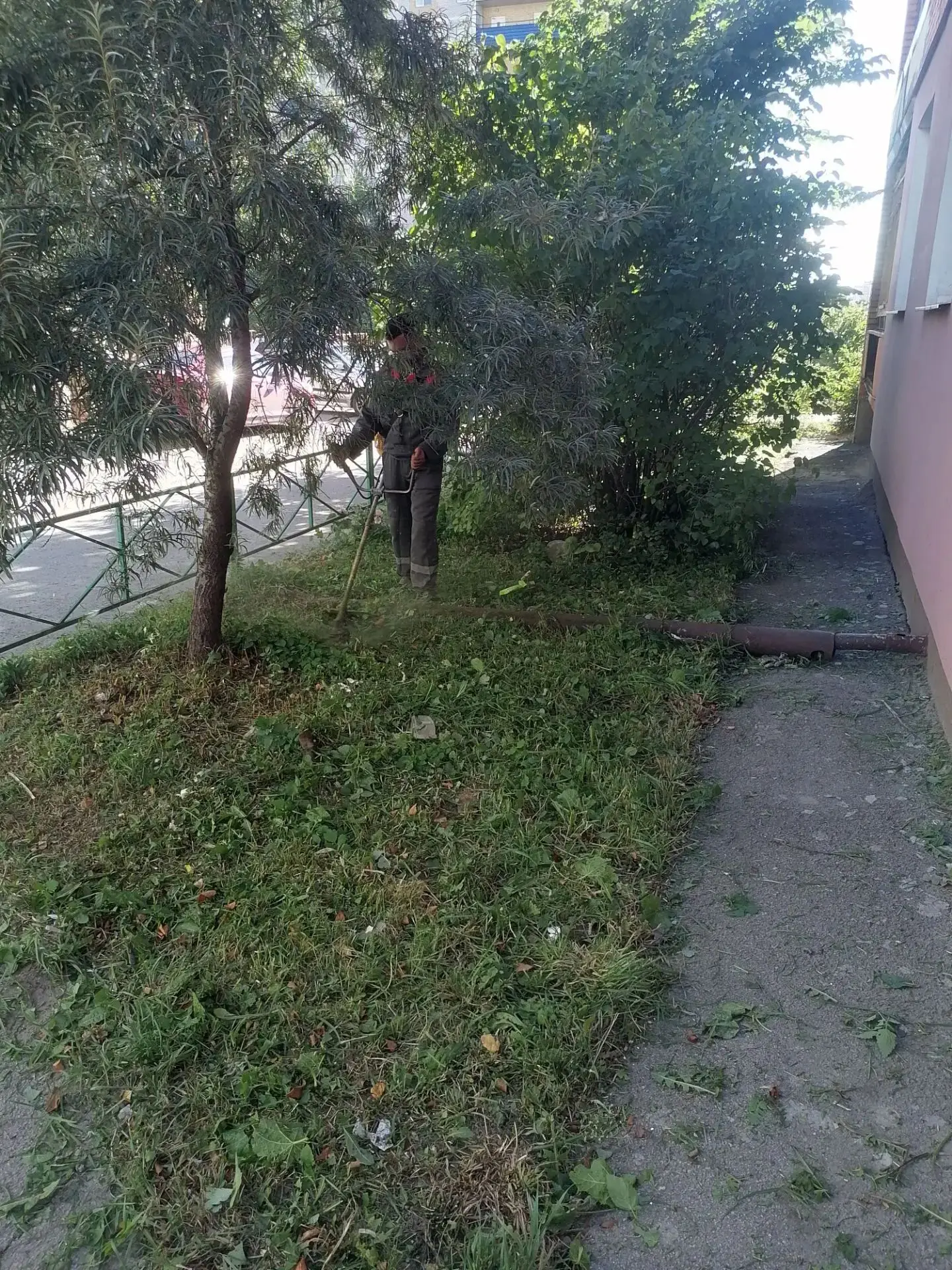 🏡 О выполненных работах по благоустройству 24.08.2026 Вильямса 2