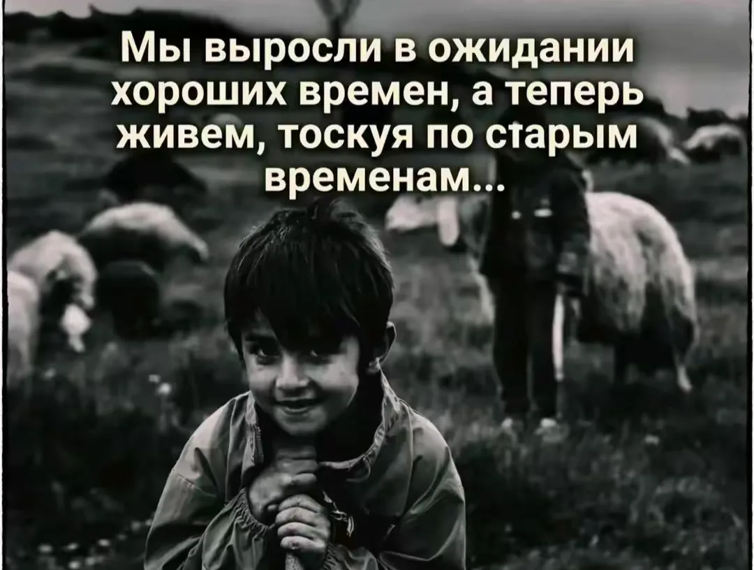 Цитаты 😉