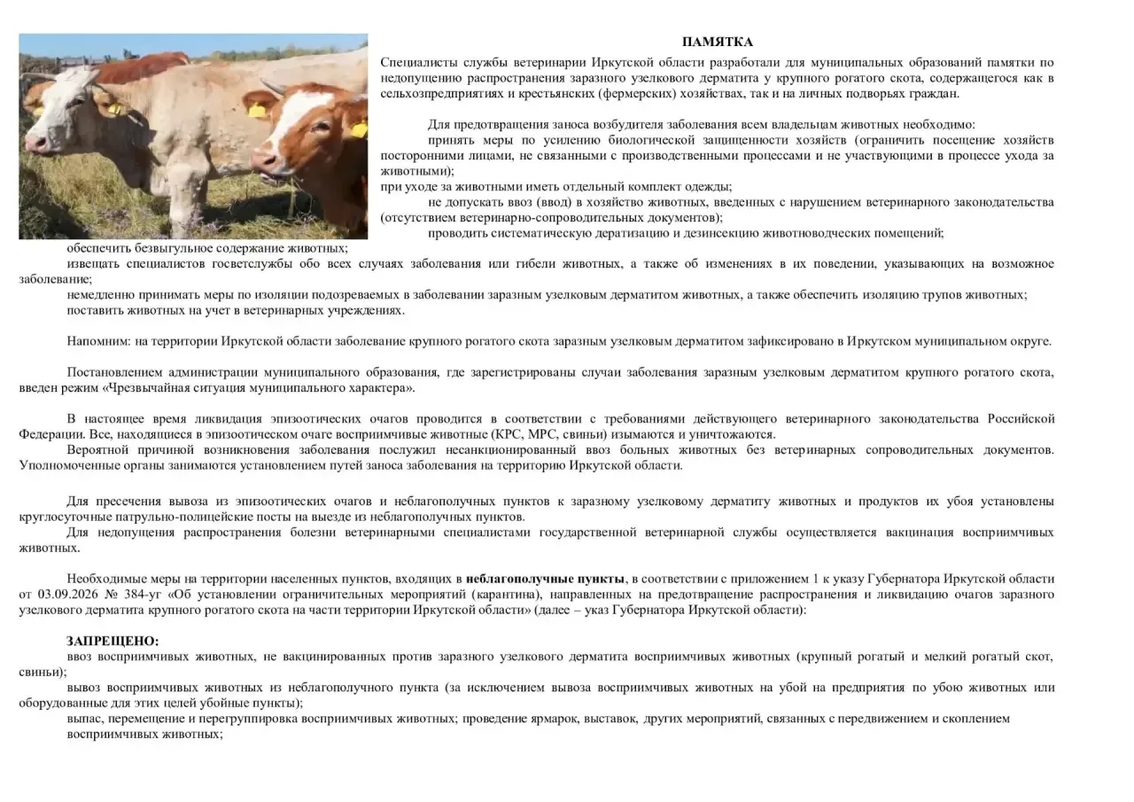 ❗️Внимание❗️
