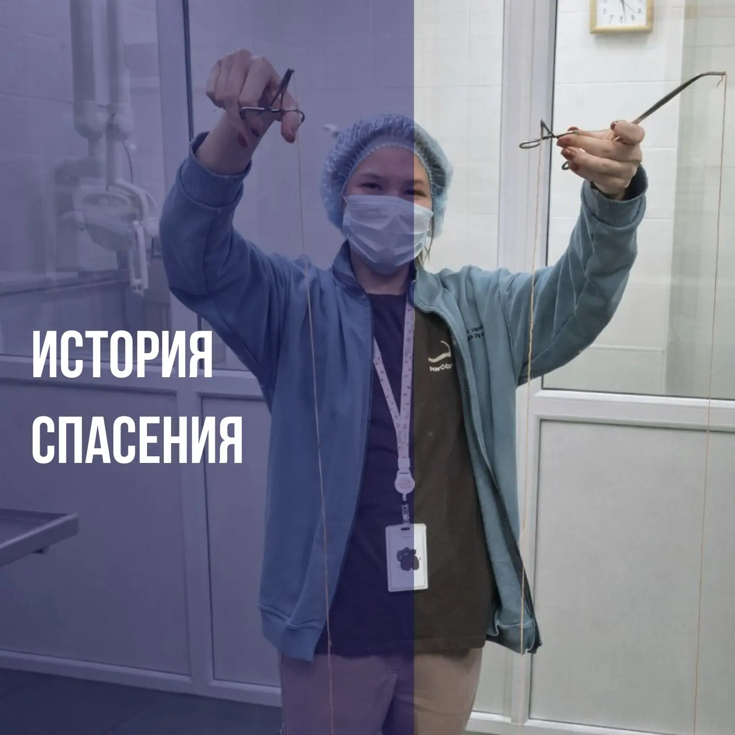 Котик, с виду абсолютно здоров, начал страдать от необъяснимой рвоты. Вечером его владе...