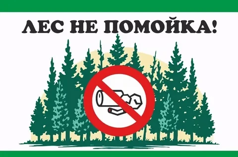 Лето - прекрасная пора!

Пора отдыха, развлечений и выездов на природу. 
Однако выезды на природу до