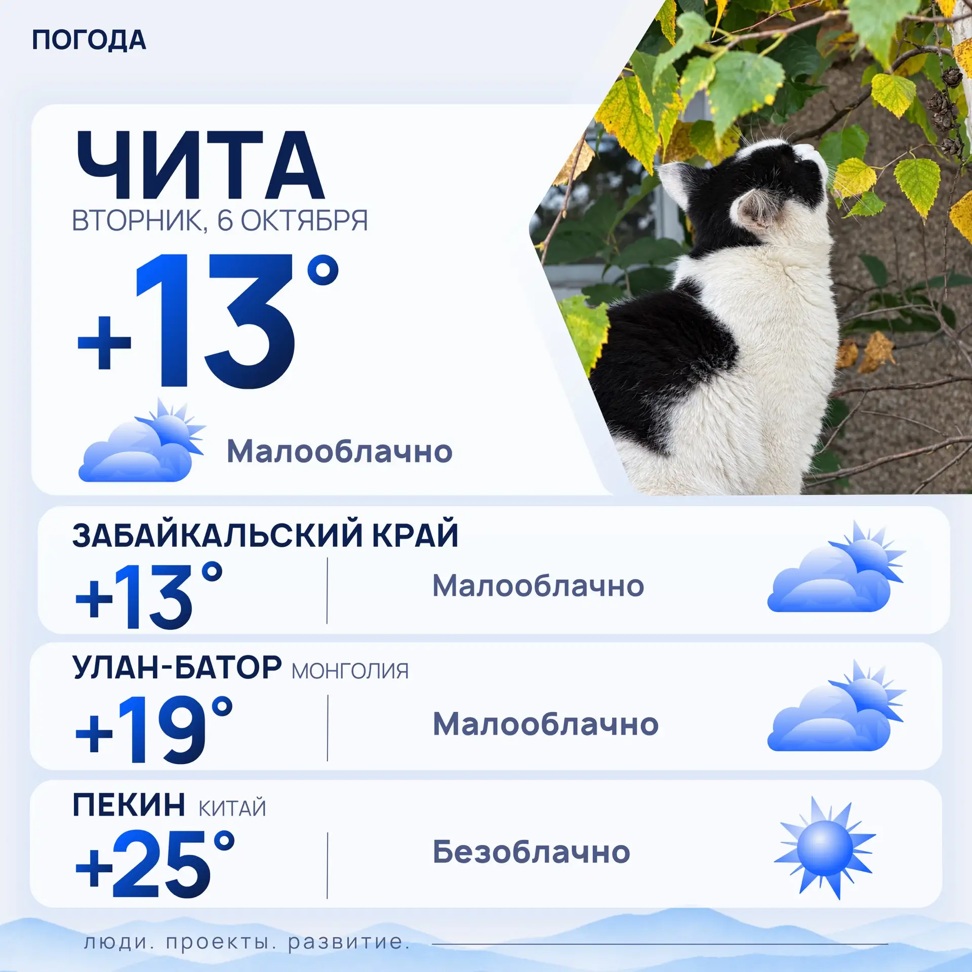 Доброе утро, дорогие подписчики!