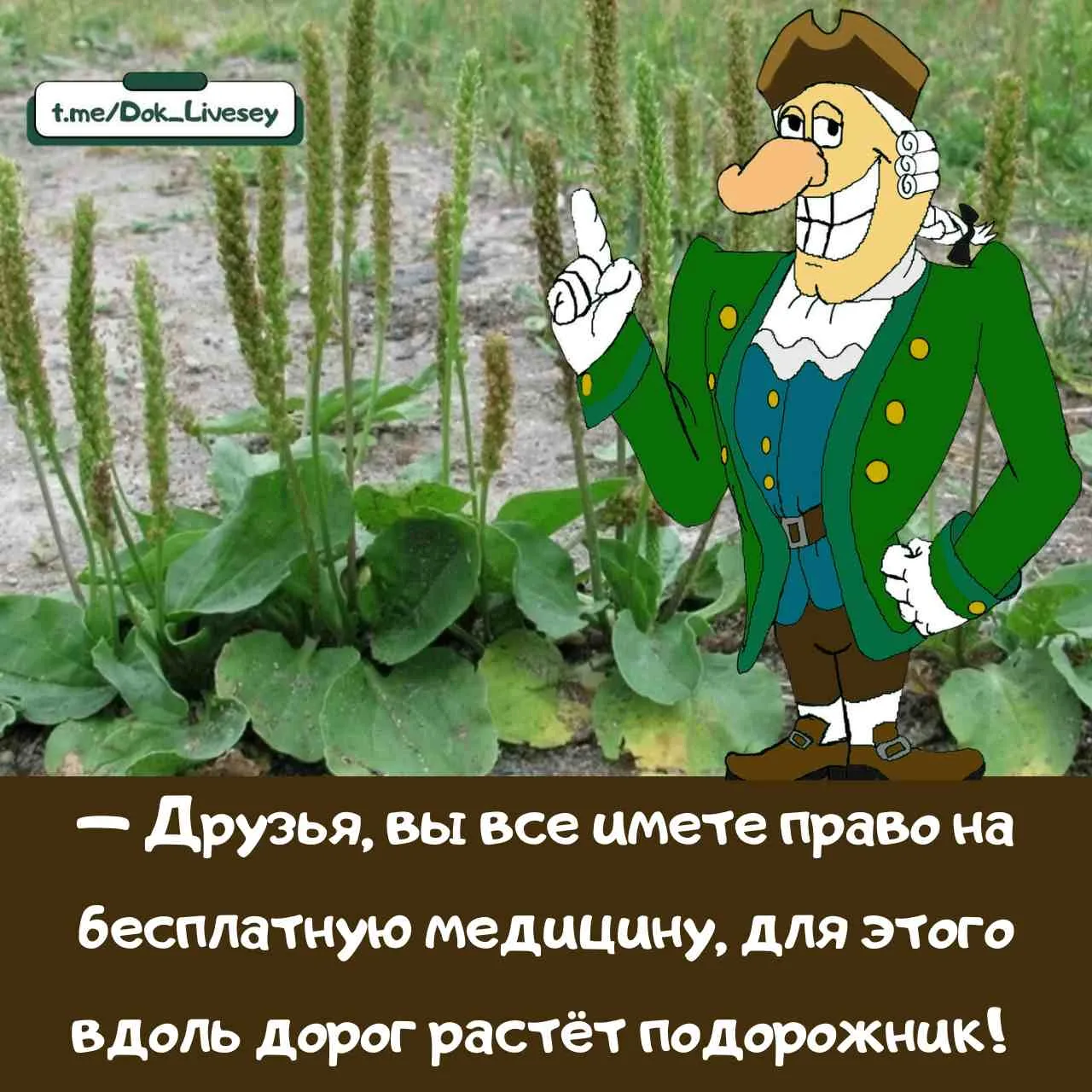 Изображение 1 к публикации «Доктор Ливси принимает...»