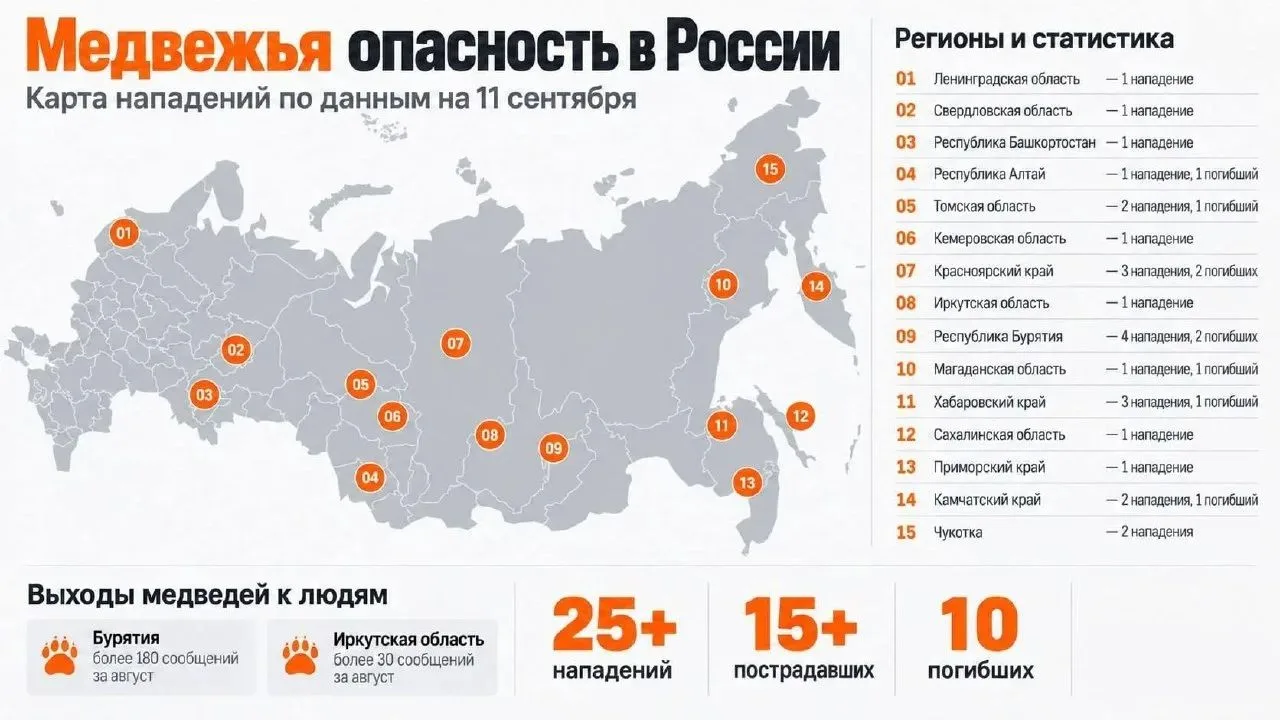 ⚡️Рекордное за последние годы число нападений медведей зафиксировано в России — с начал...