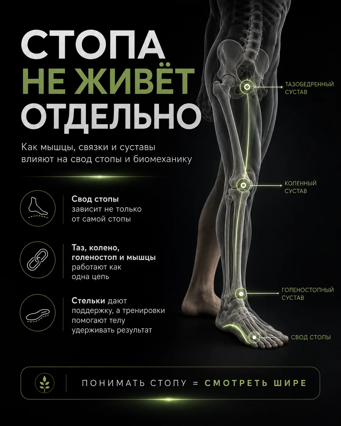 Стельки сделали. А дальше что? 👣